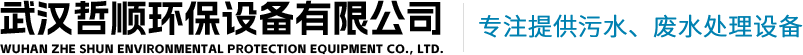 武漢皮帶機(jī)設(shè)計(jì)